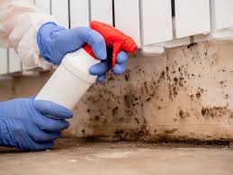  , USA Mold Removal Pros